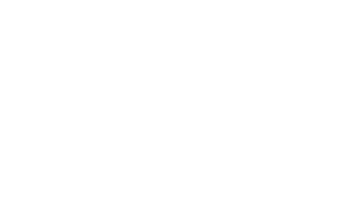 Big In Quality logo